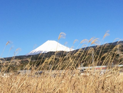 市境から富士山
