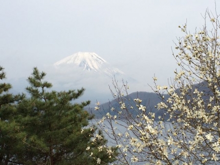 本栖湖の富士山展望所