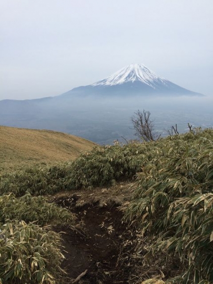 頂上付近からの富士山
