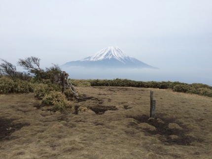 竜ヶ岳山頂から富士山
