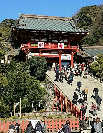 2015 鎌倉八幡宮