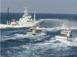 長崎・対馬沖で、停船命令に従わない韓国漁船