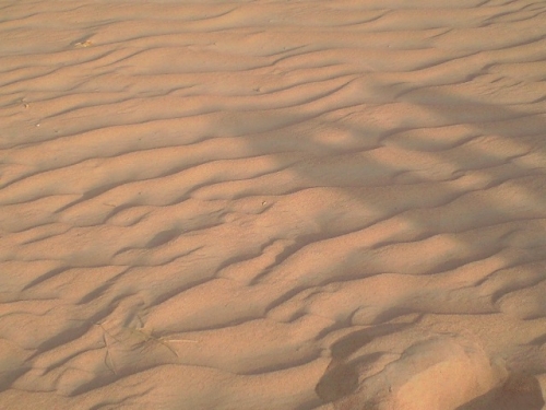 ドバイの砂漠
