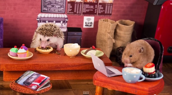 ハリネズミとハムスターがお客さんなミニチュアカフェが可愛い 動画 面白いもの集めました